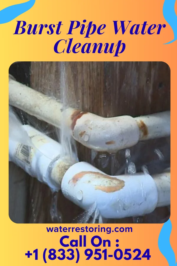 Burst Pipe Water Cleanup in Thornport, OH
