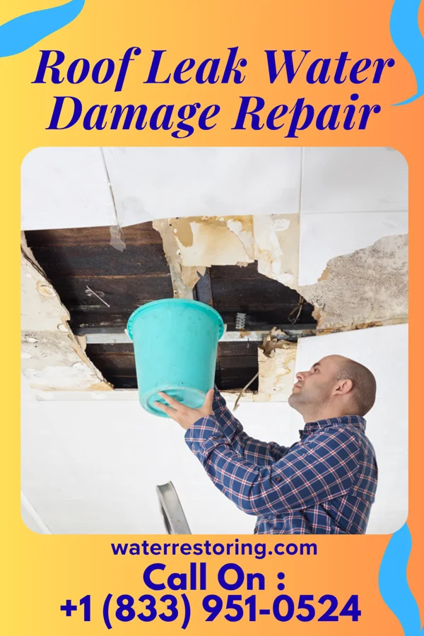 Roof Leak Water Damage Repair in Thornport, OH