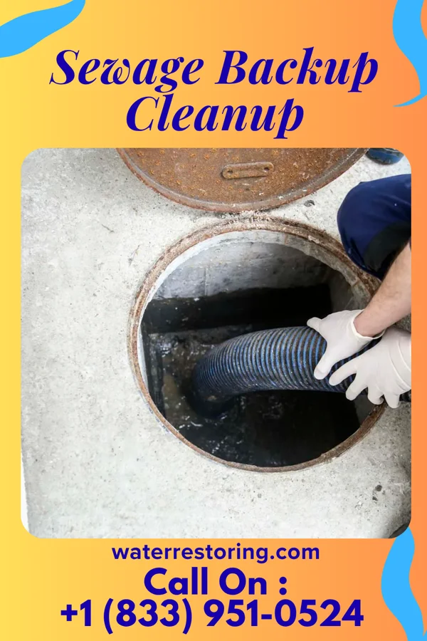 Sewage Backup Cleanup in Thornport, OH