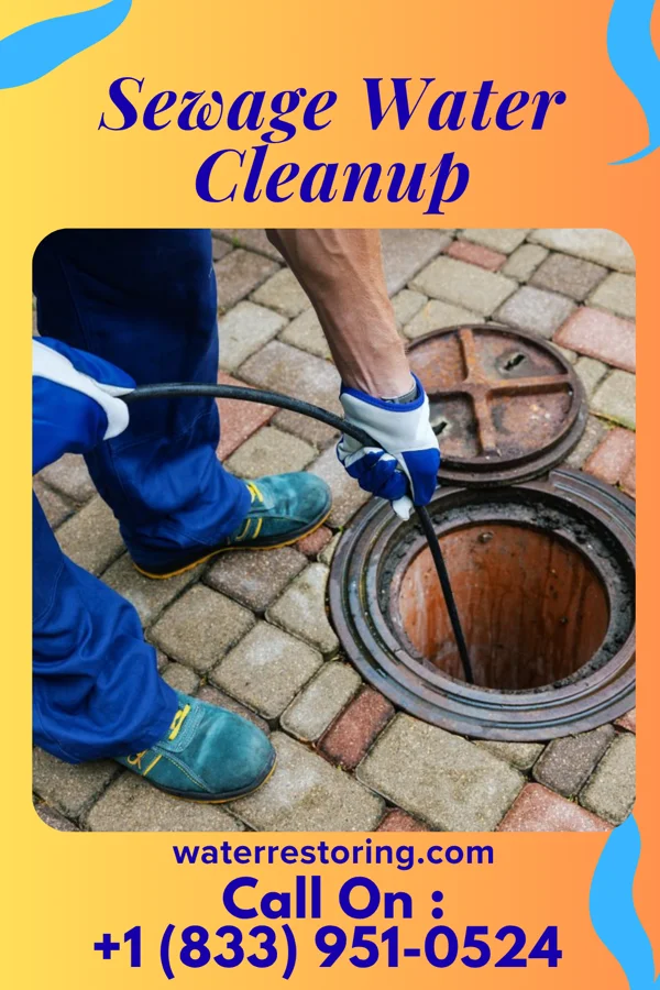 Sewage Water Cleanup in Thornport, OH