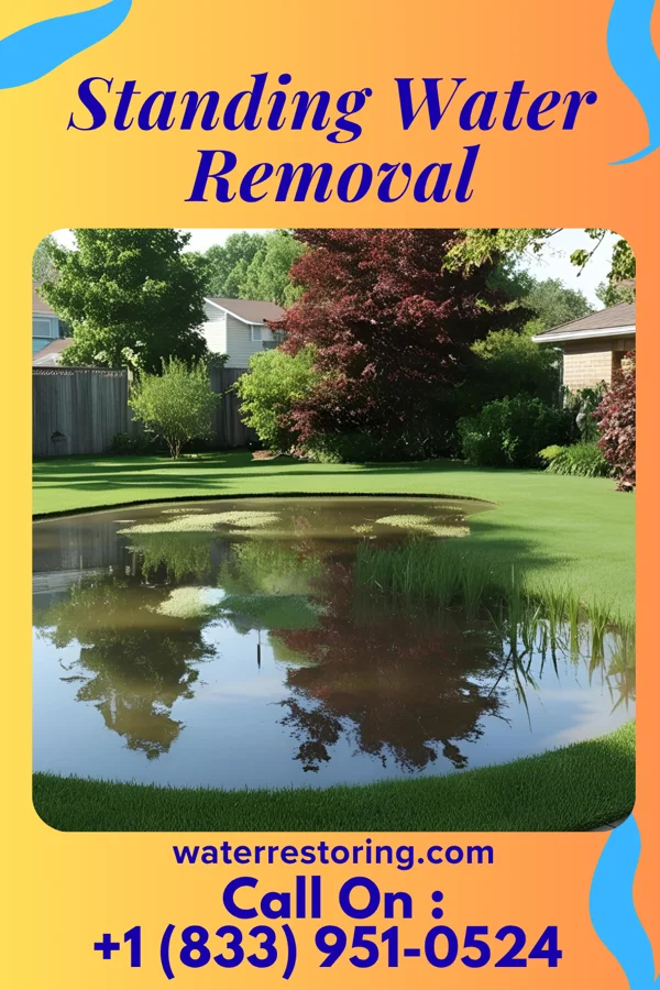 Standing Water Removal in Thornport, OH